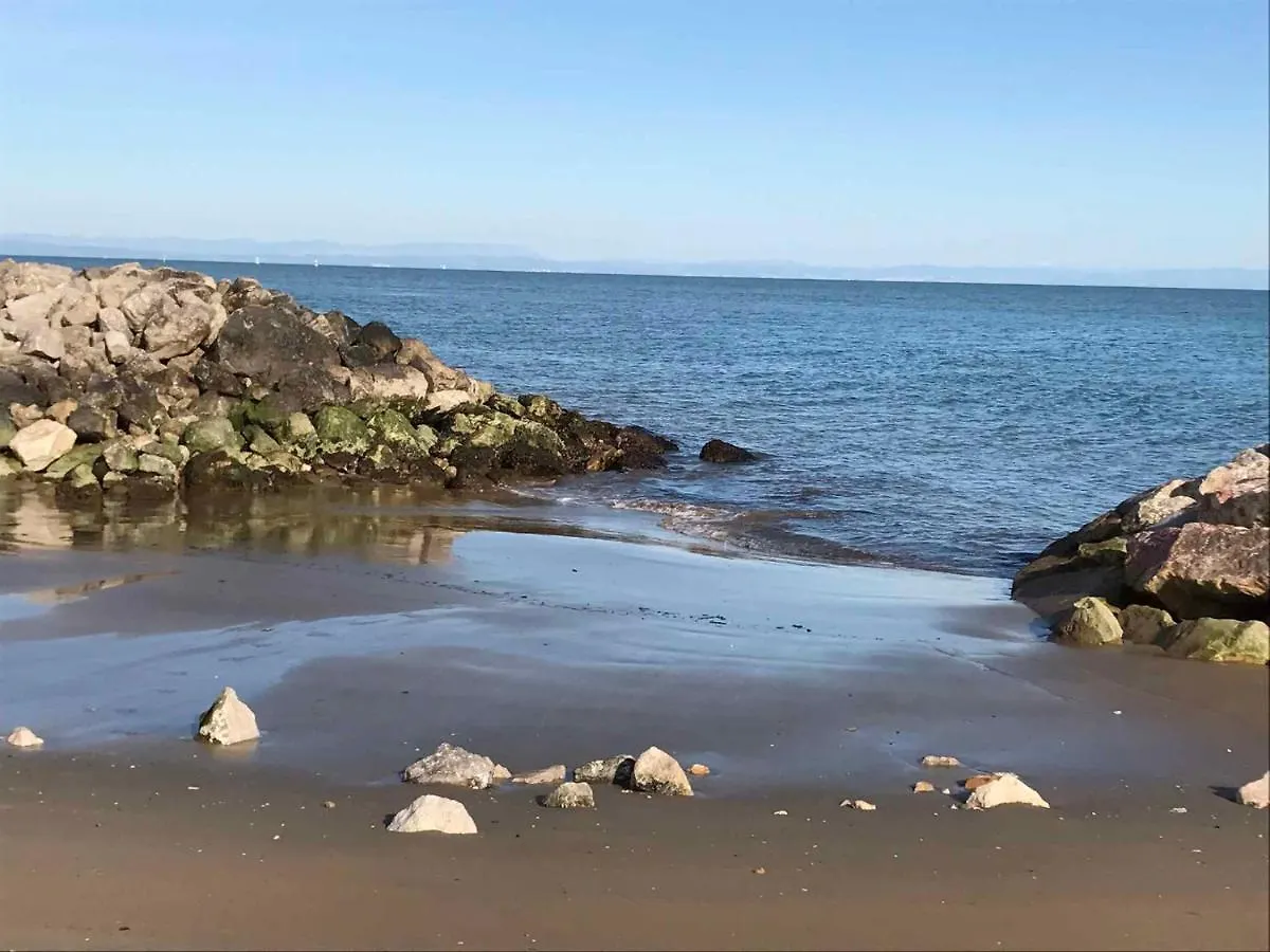 Apartment In Bibione 38308